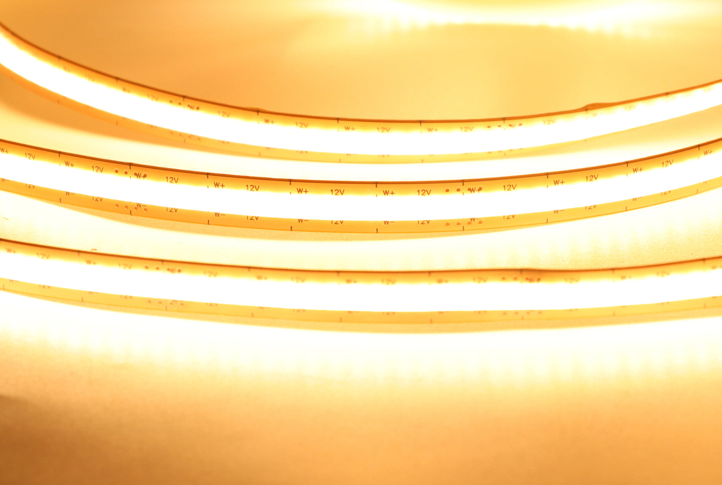 FB01 24V Tira de LED blanca cálida 8mm Cinta de luz LED comercial de alto brillo RoHS, CE para decoración de paredes 3000K/4000K/6500K